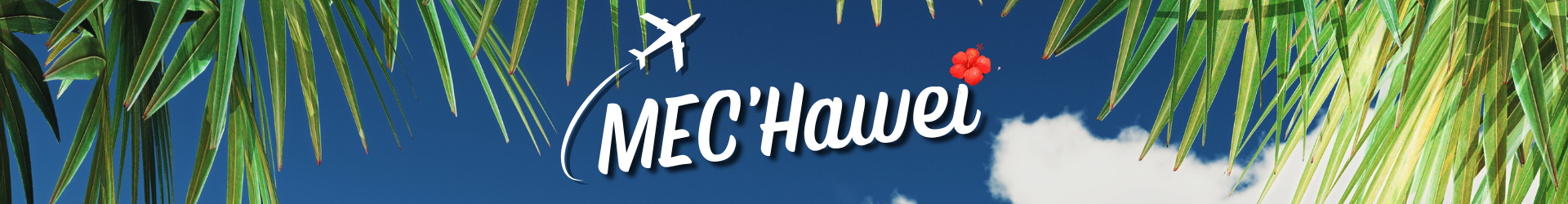 Bannière MEC'HAWEI